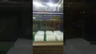 HIGH SPEED INJECTION MOLDING MACHINE TO MAKE THINWALL PRODUCTS