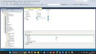 How to Enable Edit table Options in MS SQL SERVER v20.2.30.0