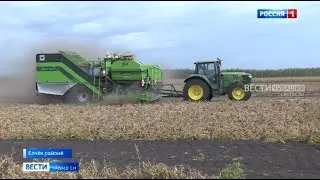 Республикӑри 11 районта ҫӗр улми кӑлараҫҫӗ
