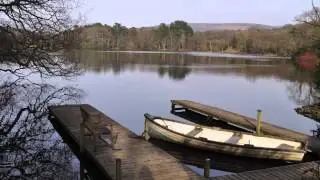 Darrel Treece-Birch - The River Dream (Official Music Video)