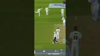 what a catch😱😱 #realcricket22 #rc22 #games #shorts #viral #trending #gaming
