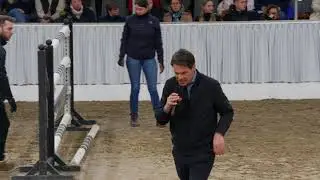 Chacco d'or, Calizio und Madness bei der 34. PB-Schau in Verden 2026