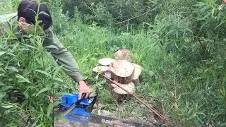 Two nights camping with carlisle195