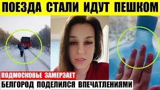 Поезда в Нижнем Новгороде остановлены. Белгород поделился впечатлениями. Подмосковье замерзает.