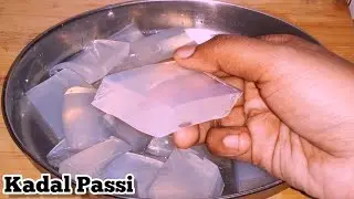 only 3 Ingredients Agar Agar Recipe in Tamil/ Kadal Passi/ China Grass/ Jelly #trending #jelly