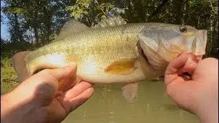 Early FALL BASS FISHING  the rivers of CENTRAL TENNESSEE 🎣
