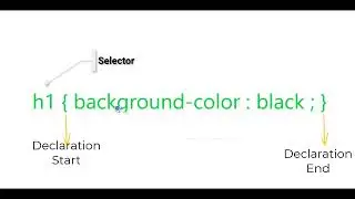 CSS in Amharic | CSS በአማረኛ - CSS selectors