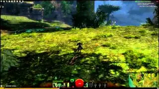 Maxed GTX 560ti 448 - Guild Wars 2 - HD 1080p