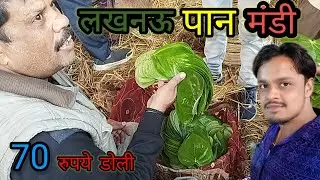 पान की मंडी|| wholesale paan mandi lucknow|| @Rklucknow #paan