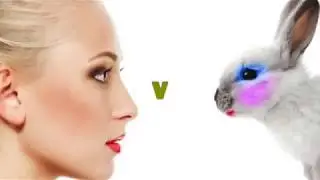 The #1 Reason to Go Vegan