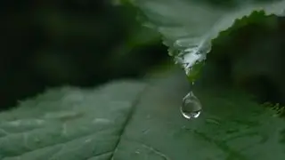 Slow Days, Rainy Days