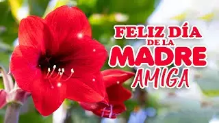 FELIZ D&Iacute;A DE LA MADRE AMIGA - MENSAJES, FRASES, IM&Aacute;GENES DE D&Iacute;A DE LA MADRE PARA UNA AMIGA