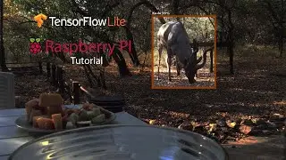How to run Object Detection with Tensorflow Lite and a Raspberry PI 4 to Build a Wildlife camera