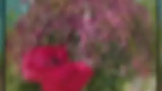 Горы Пелопоннеса. Греческая природа завораживает