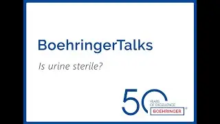 Episode 12 - Is Urine Sterile?