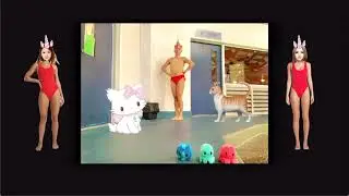 Snapchat AI boss dub: swine flu H3 NX red virus 🦠 cat 🐈