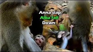 ALba Born With Miserable Life From Mum ANNa | Skinny Alba Just Cries Ask Mum Share Her Emotion Love