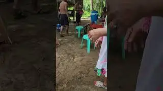 Bikini Contest with the Boys April 2024