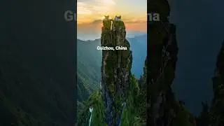 Guizhou China Fanjingshan Mountain Must visit! #travel #shorts #china #world #placetovisit