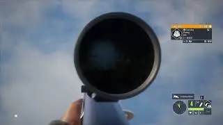 The hunter call of the wild : ps4 single player,,A 4 easy stubble quail? 6 dimonds from same flock?