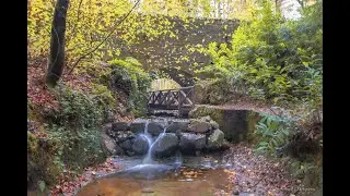 Falkland Estate, Scotland
