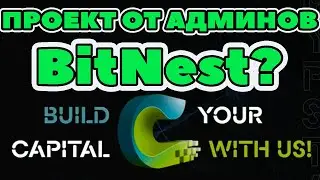 Cyrus Finance обзор отзывы от админов Bitnest? Новый проект регистрация