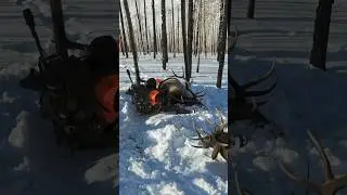 Dragging 1,000 lbs of meat in the snow #hunting #bestseasonyet #elkhunting