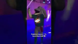 Miami Dolphins mascot shows off a new chain! 🔥 #shorts