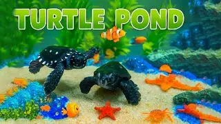 MAKING BABY TURTLES 🐢 POND!!! Nick Bingo pk !