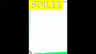 SDIL11 -  Oscila&ccedil;&otilde;es e Desempenho - Uma An&aacute;lise Cr&iacute;tica