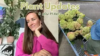 New Plant Updates & I Got MORE New Plants