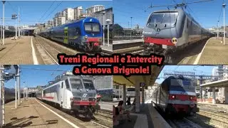 Treni Regionali e Intercity alla stazione di Genova Brignole!