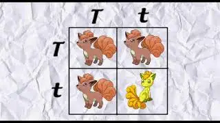 Game Theory Parody  Are Shiny Pokemon Genetic Varients