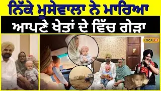 Mansa News | ਨਿੱਕੇ ਮੂਸੇਵਾਲਾ ਨੇ ਮਾਰਿਆ ਆਪਣੇ ਖੇਤਾਂ ਦੇ ਵਿੱਚ ਗੇੜਾ | #local18