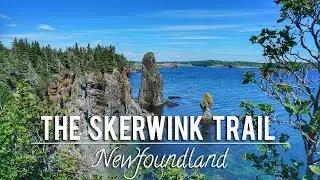 HIKING the SKERWINK TRAIL in NEWFOUNDLAND | BEST HIKES IN THE WORLD