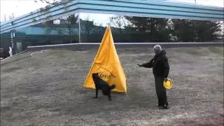 Blind Search