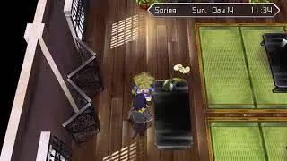 Harvest Moon Innocent Life - Masami Watering Can (Level 2)