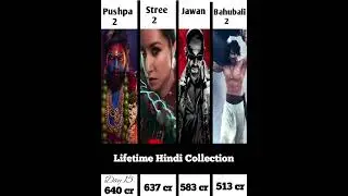 Day 15 Box office collection | Lifetime Hindi Collection | BGM PR Tone