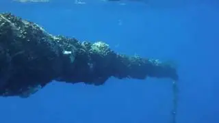 Island Energy buoy at sea - 1