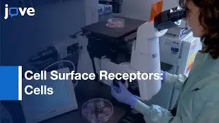 Total Internal Reflection Fluorescence Microscopy-Number & Brightness Analysis l Protocol Preview