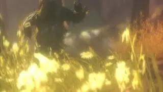 Vermont Kiss (clips in desc)
