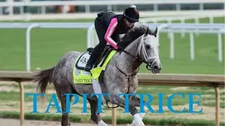 Talking Racehorses: Tapit Trice