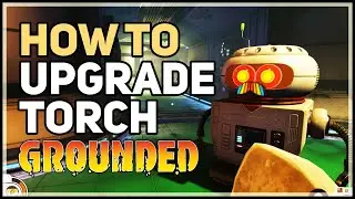 How to Upgrade Torch Grounded