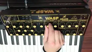 Behringer WASP Deluxe - Quick Demo (Sounds Only)