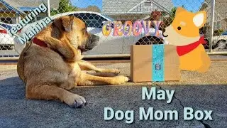 Dog Mom Box May 2021 Unoxing + Review with Mahina
