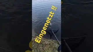 Eingenetzt - Big Pike | Angeln auf Zander, Hecht und Barsch .. 🎣🐟🎣🐟