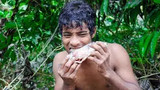 Primitive Times Technology: Eating Dead Fish Without Cooking - Natural Food Collection