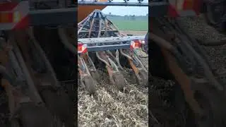 Winterackerbohnen Aussaat in K&ouml;rnermaisstroh