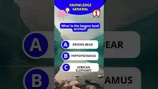 #EnglishQuiz #TriviaTime #QuizGame #FunQuestions #GeneralKnowledge #EnglishSpeaking #UKTrivia#USQuiz