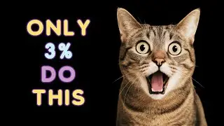 12 Things Cats Love and Only 3% of Parents Actually Do! 🙀